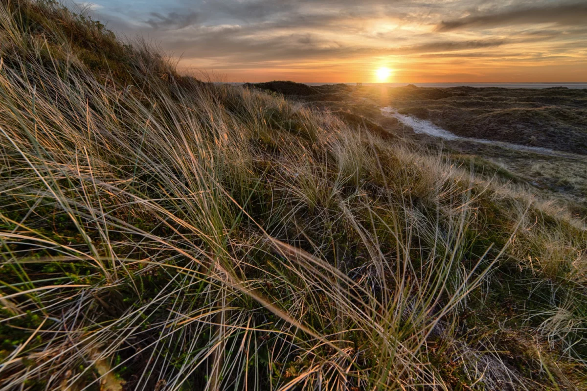 Kompleksowa wypożyczalnia - czego szukać